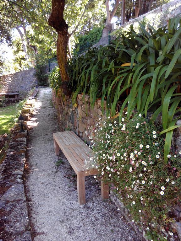 Guest House Villa Dos Poetas Sintra Exteriör bild The path through the garden