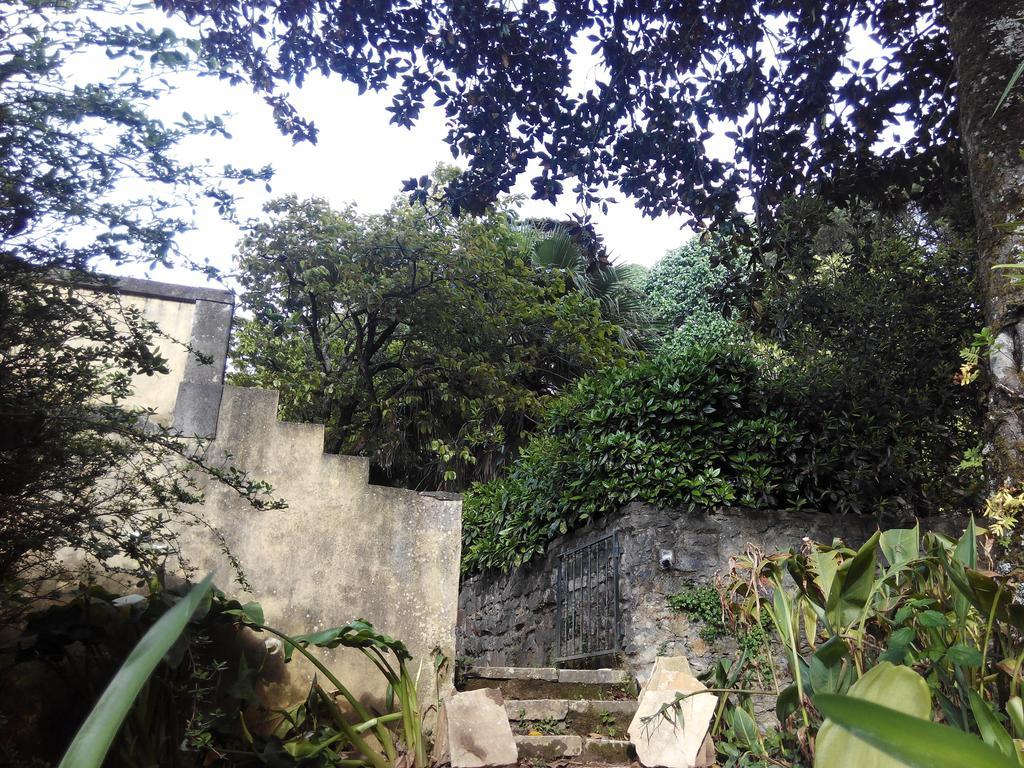 Guest House Villa Dos Poetas Sintra Exteriör bild The entrance to the cave